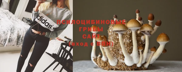 скорость Краснослободск