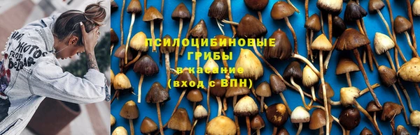 дживик Красноперекопск