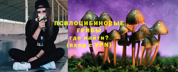 дживик Красноперекопск