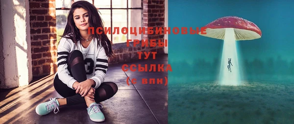 скорость Краснослободск